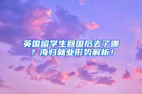 英国留学生回国后去了哪？海归就业形势解析！