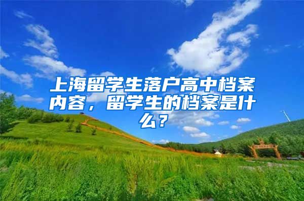 上海留学生落户高中档案内容，留学生的档案是什么？