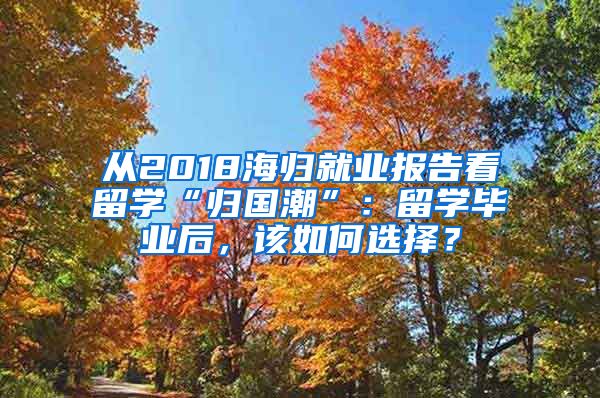 从2018海归就业报告看留学“归国潮”：留学毕业后，该如何选择？