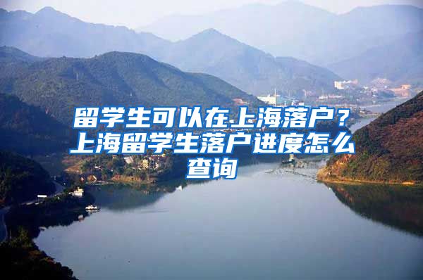 留学生可以在上海落户？上海留学生落户进度怎么查询