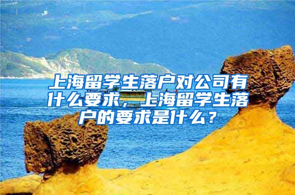 上海留学生落户对公司有什么要求，上海留学生落户的要求是什么？