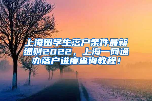 上海留学生落户条件最新细则2022，上海一网通办落户进度查询教程！