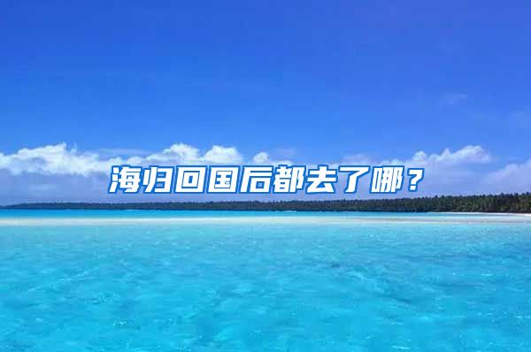 海归回国后都去了哪？