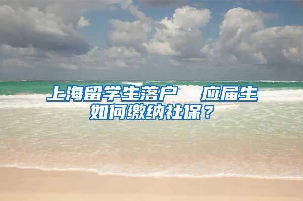 上海留学生落户  应届生如何缴纳社保？