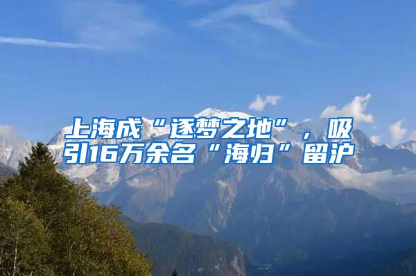 上海成“逐梦之地”，吸引16万余名“海归”留沪