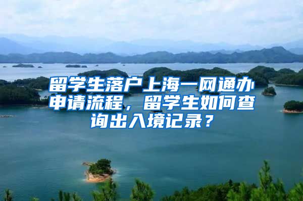 留学生落户上海一网通办申请流程，留学生如何查询出入境记录？