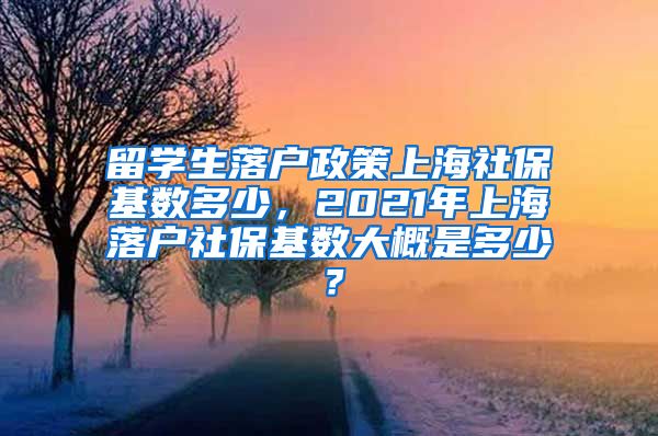 留学生落户政策上海社保基数多少，2021年上海落户社保基数大概是多少？