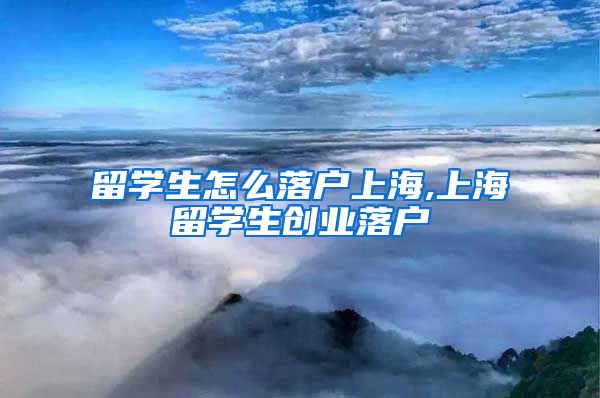 留学生怎么落户上海,上海留学生创业落户