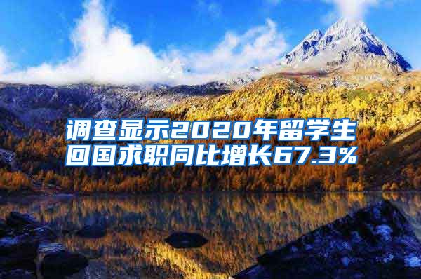 调查显示2020年留学生回国求职同比增长67.3%