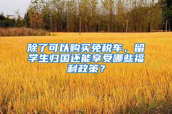 除了可以购买免税车，留学生归国还能享受哪些福利政策？