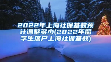 2022年上海社保基数预计调整多少(2022年留学生落户上海社保基数)