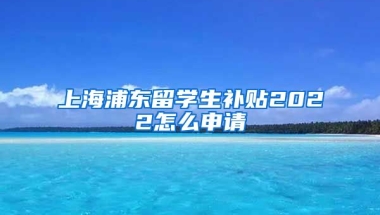 上海浦东留学生补贴2022怎么申请