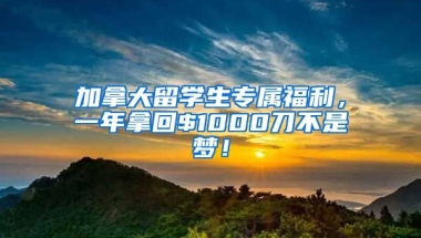 加拿大留学生专属福利，一年拿回$1000刀不是梦！