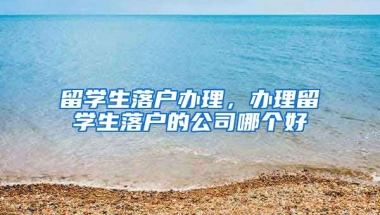 留学生落户办理，办理留学生落户的公司哪个好