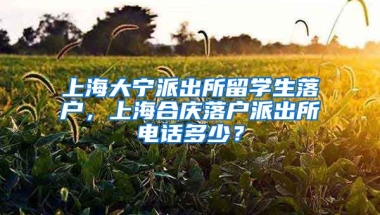 上海大宁派出所留学生落户，上海合庆落户派出所电话多少？