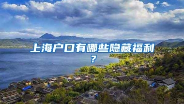 大专及以上的学历办理居住证，拥有与本地人相同的补贴和福利