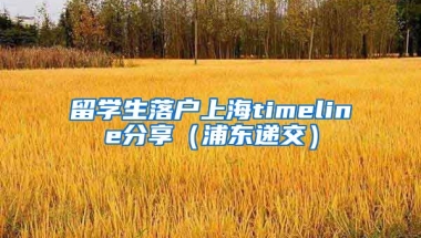 留学生落户上海timeline分享（浦东递交）