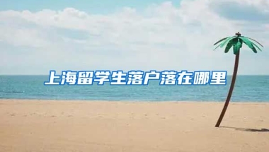 上海留学生落户落在哪里