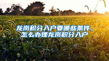 龙岗积分入户要哪些条件，怎么办理龙岗积分入户