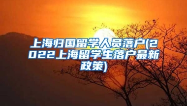 上海归国留学人员落户(2022上海留学生落户最新政策)