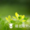 【干货】2022留学生落户上海指南