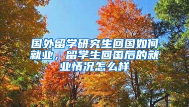 国外留学研究生回国如何就业，留学生回国后的就业情况怎么样