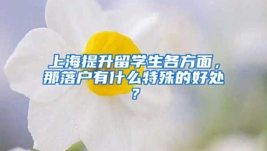 上海提升留学生各方面，那落户有什么特殊的好处？