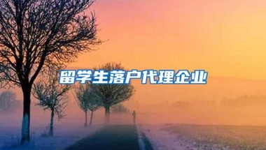 留学生落户代理企业