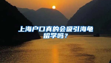 上海户口真的会吸引海龟留学吗？