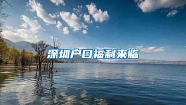 2018年度深圳市积分入户排名前一万名指标名单公示