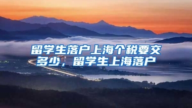 留学生落户上海个税要交多少，留学生上海落户