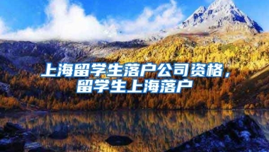 上海留学生落户公司资格，留学生上海落户