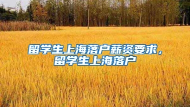 留学生上海落户薪资要求，留学生上海落户