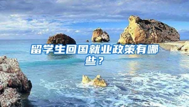 留学生回国就业政策有哪些？