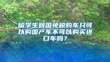 留学生回国免税购车只可以购国产车不可以购买进口车吗？