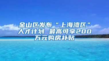 “快递高工”金龙：43岁海归博士搭乘上海职称“直通车”，妻女都已落户