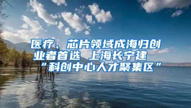 医疗、芯片领域成海归创业者首选 上海长宁建“科创中心人才聚集区”