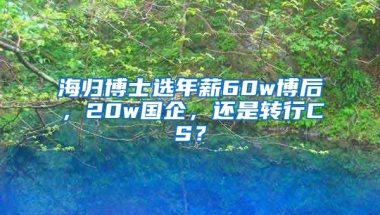 海归博士选年薪60w博后，20w国企，还是转行CS？