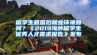 留学生回国后就业环境如何？《2019海外留学生优秀人才需求报告》发布