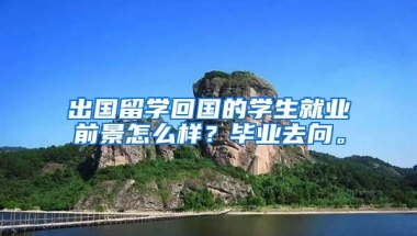 出国留学回国的学生就业前景怎么样？毕业去向。