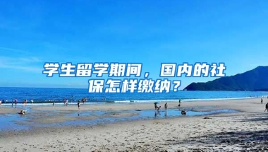 学生留学期间，国内的社保怎样缴纳？