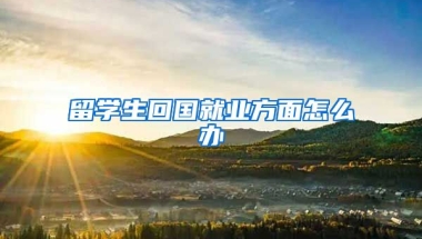 留学生回国就业方面怎么办