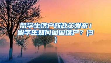 留学生落户新政策发布！留学生如何回国落户？(3)