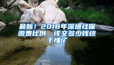 婚姻登记“跨省通办”一周年，近2万对非户籍新人在深领证