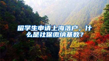 留学生申请上海落户，什么是社保缴纳基数？