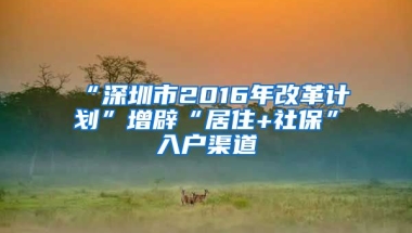 “深圳市2016年改革计划”增辟“居住+社保”入户渠道