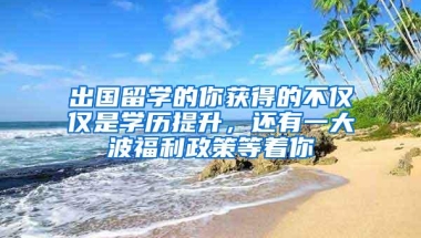 首个国家级肺结节专委会主任委员单位落户深圳