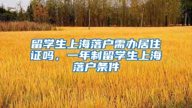 留学生上海落户需办居住证吗，一年制留学生上海落户条件