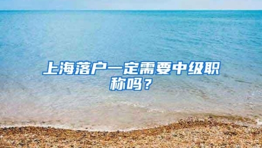 反对“文化挪用”！中国留学生穿华服到巴黎迪奥总部抗议