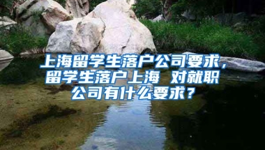 上海留学生落户公司要求，留学生落户上海 对就职公司有什么要求？